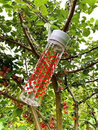 🍎 Jablka 1000 ml 🍎