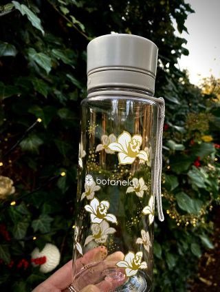 🍃 Orchideje 600 ml 🌱
